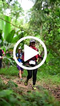 BIB:  <button type="button" onclick="openModal(26823352)" class="btn btn-primary btn-sm float-right" data-toggle="modal" data-target=".modal-high-quality">
                <i class="fa fa-download"></i> Download
                </button>